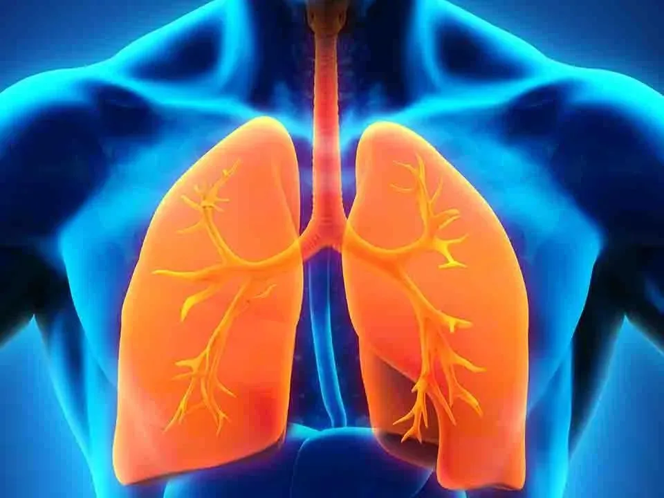 肺结核会导致肺炎吗_怎样会患上三型肺结核_肺结核会引起其它病吗
