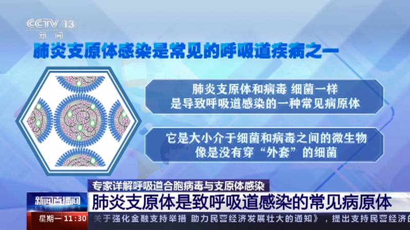 呼吸道合胞病毒抗病毒药物_呼吸合胞病毒感染用什么药_呼吸道合胞病毒/药物作用