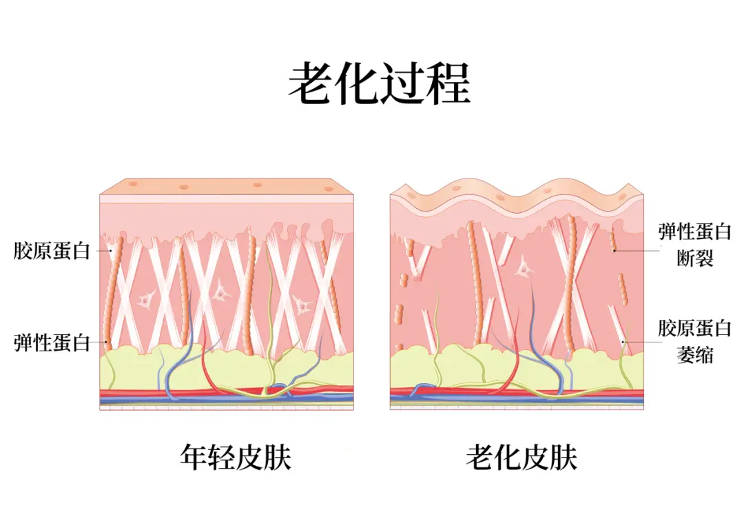 恢复免费数据360安全吗_360数据恢复大师免费版手机_360数据恢复免费吗