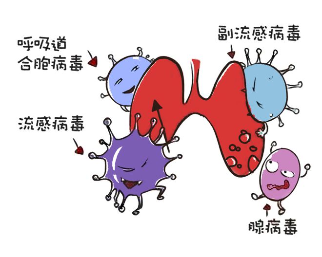 呼吸道合胞病毒的传播途径_呼吸合胞病毒会自愈吗_呼吸道合胞病毒 用文明