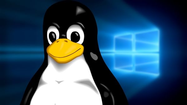 linux传文件到windows命令-从 Linux 到 Windows 传文件：scp 和 rsy