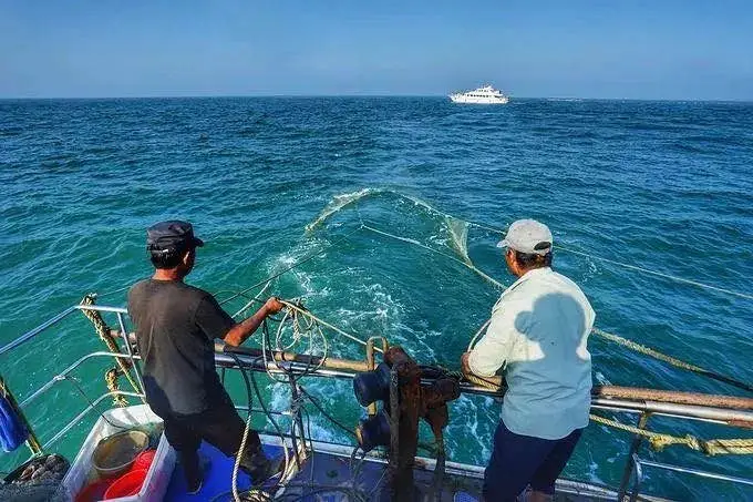 畅游网站是什么_畅游app_畅游无限浏览