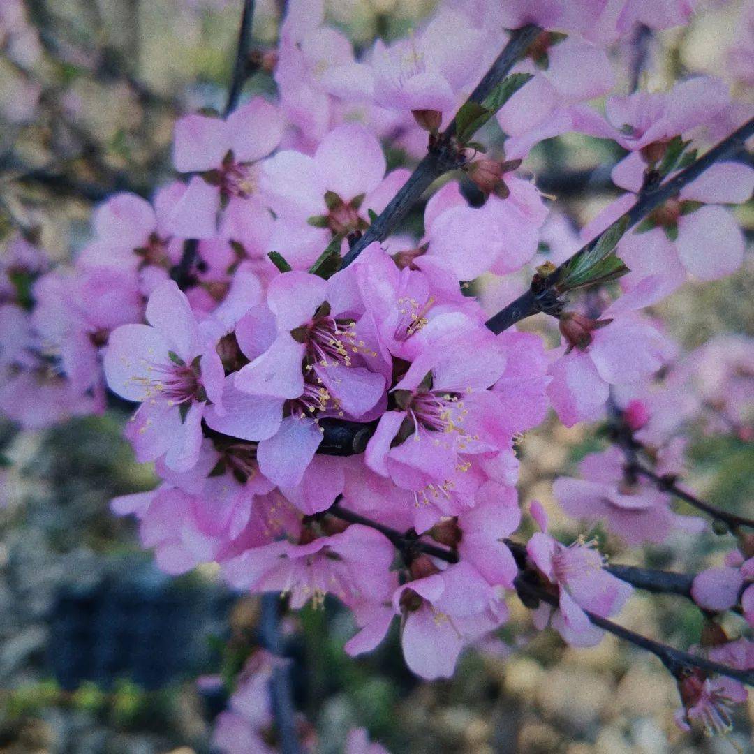 北京朝阳医院副院长_北京朝阳医院副院长_北京朝阳医院副院长叫什么名字