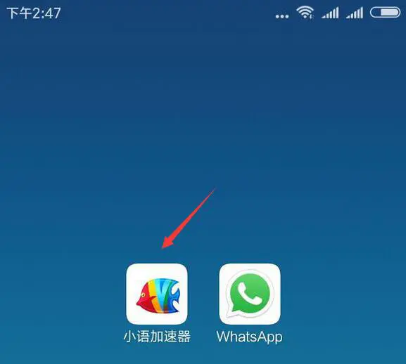 whatsapp国内则呢么下载_下载国内电视直播_whatsapp官方下载免费