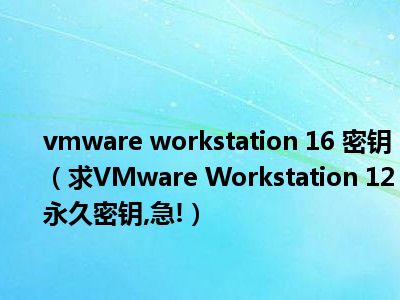 许可证秘钥_window许可证秘钥_vmware workstation 10许可证密钥