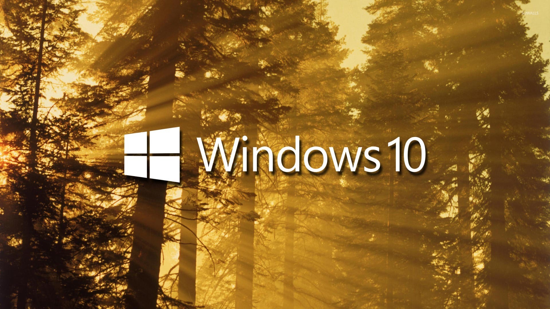 windows10 s_windows10是哪年出的_windows10 s