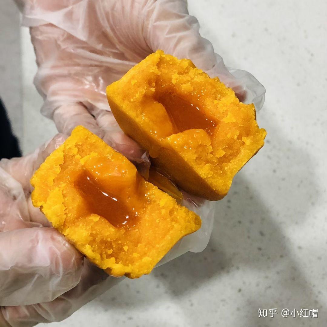 电脑上软件打不开-软件罢工导致工作计划泡汤，究竟是何原因？