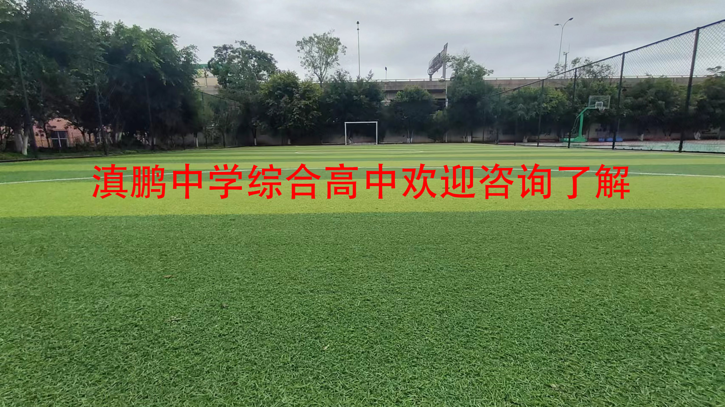 中等职业学校德育目标_中职学校德育规划_德育中等职业目标学校有哪些