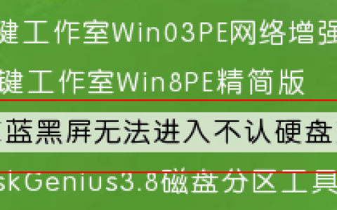 winpe 51下载_u盘winpe下载_winpe下载