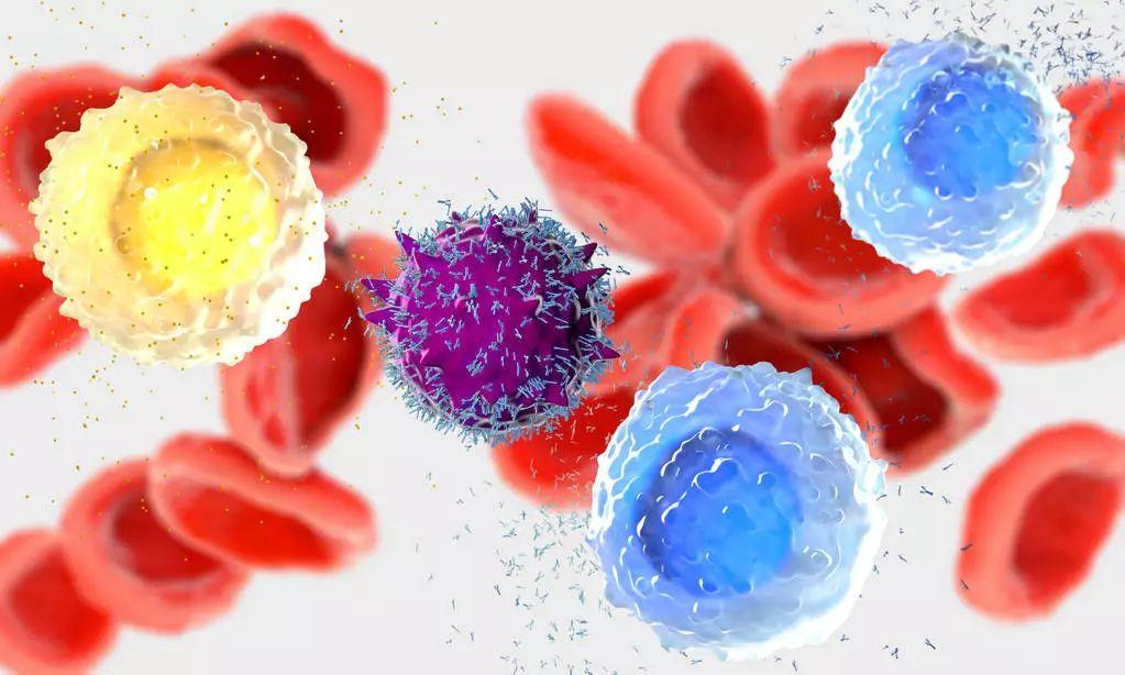 病例冠心病讨论内容_冠心病病例讨论记录_冠心病病例讨论