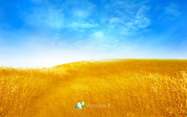 windows用linux命令_windows用linux命令_命令用英语