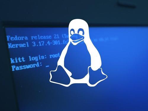 运行文件Linux_运行文件管理器的命令_linux运行apk文件