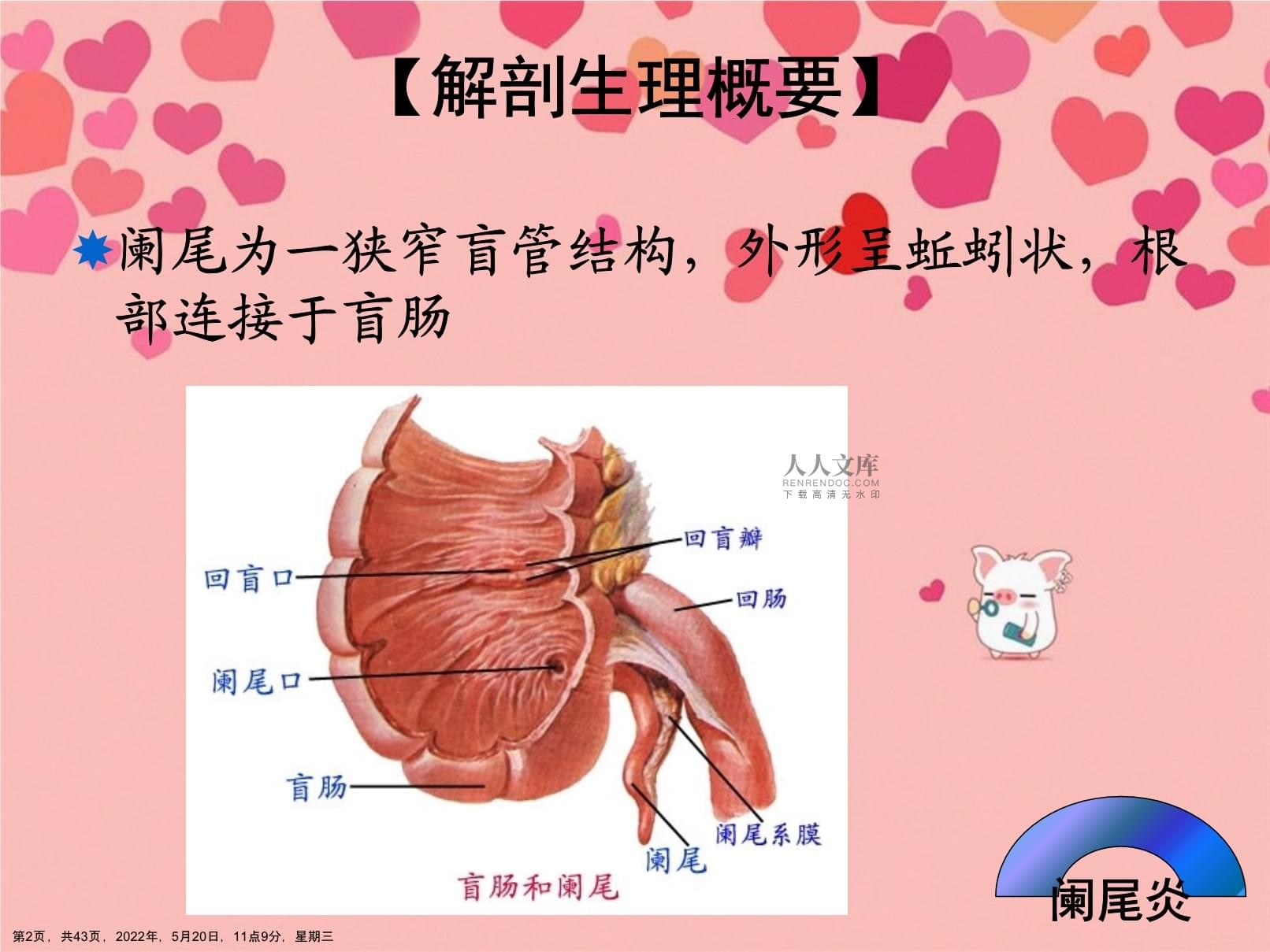 急性阑尾炎术后并发症护理_急性阑尾炎术后并发症护理_急性阑尾炎并发症的护理