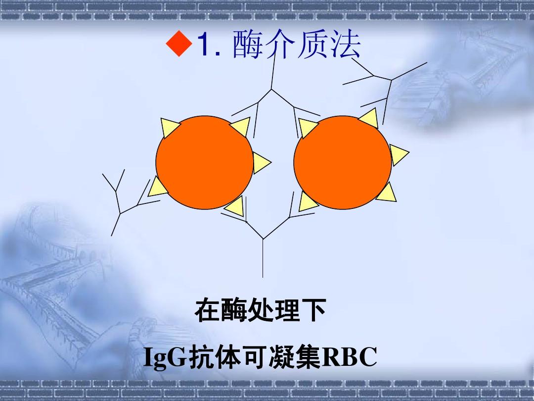 呼吸合胞病毒弱阳性_呼吸道合胞病毒igg抗体检测试剂盒 说明书_呼吸合胞病毒抗体阳性