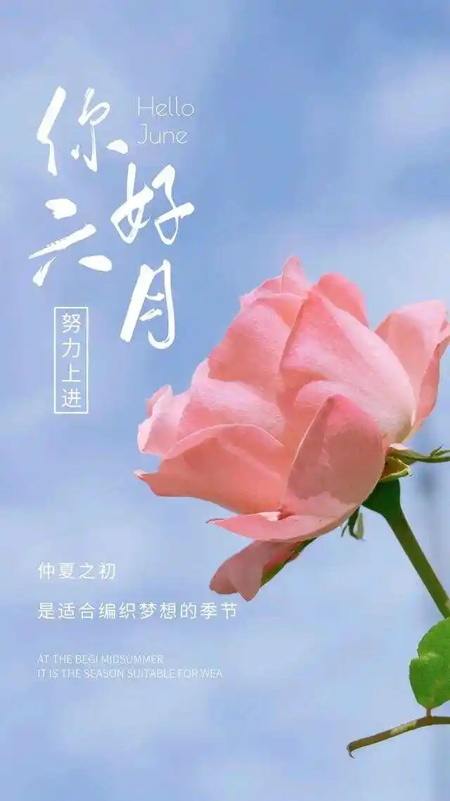 五月综合激活-五月，情感的综合激活，生活的新开始