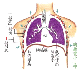 气管炎怎么治_气管炎专方_气管炎根治