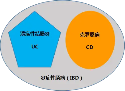 克罗恩病的图片_课罗恩病_罗克罗恩病