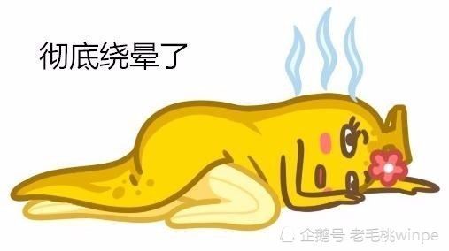 winpe 光盘版-WinPE 光盘版：功能强大，操作简单，电脑小白的救星