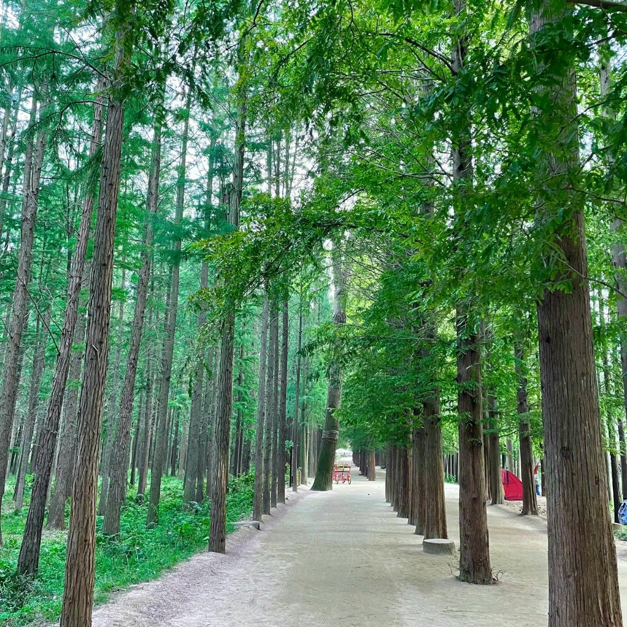 广智图书软件培训机构_广智图书管理软件_广智图书软件的功能有哪些