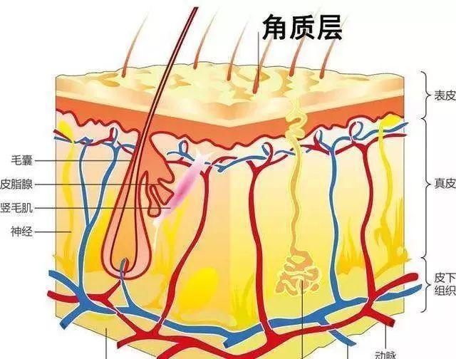 北京朝阳医院西院电话号码_北京市朝阳医院西区电话_北京朝阳医院西区 电话