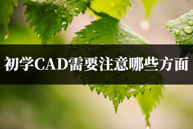 如何查看cad坐标_坐标查看指令_坐标查看器