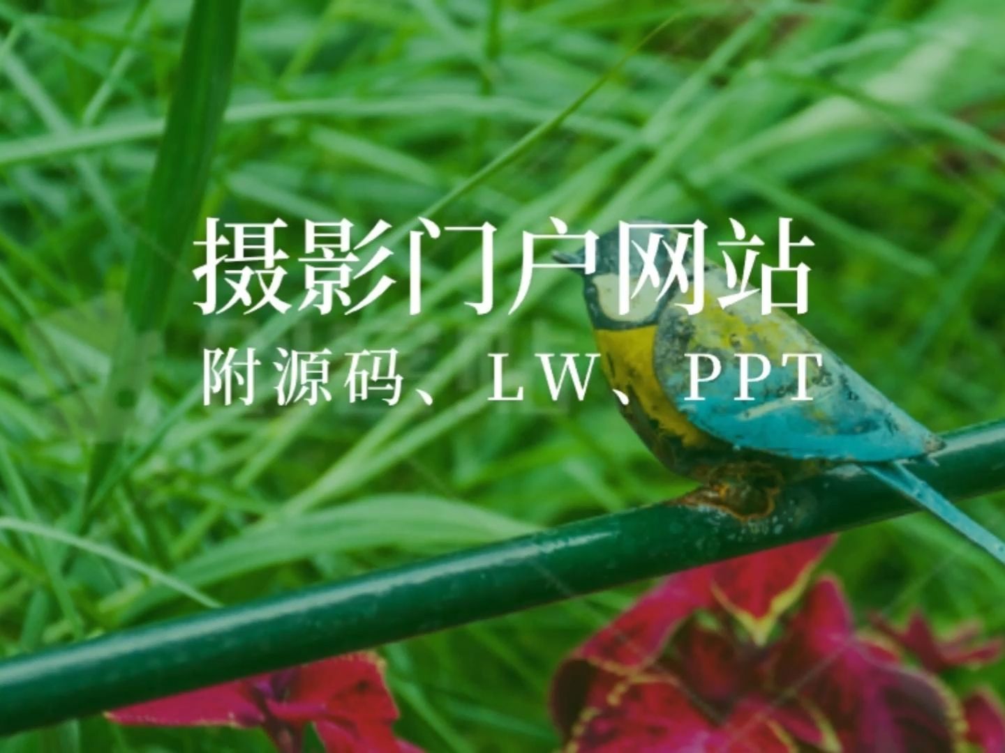 网站设计费用大概多少_php网站设计_网站设计公司