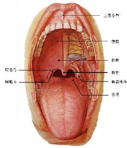 160预约挂号_预约挂号160网站_深圳预约挂号160