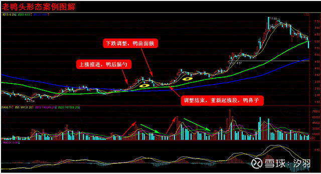 trx训练胸肌_trx_trx怎么获得