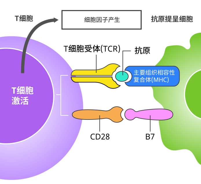 胃病气功社区论坛_气功胃病_气功治愈胃肠疾病实例