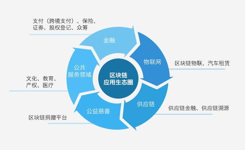 基于区块链数据查询,掌握链上信息的奥秘