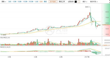 比特币价格图,历史与未来展望
