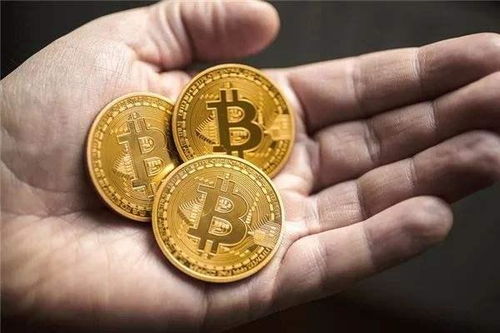 比特币是什么样子,数字时代的黄金？揭秘加密货币的神秘面纱