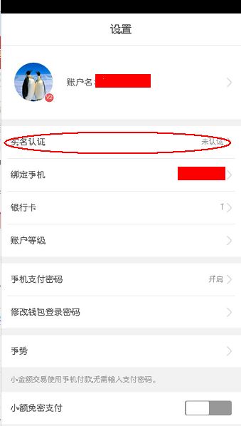 usdt钱包不实名认证可以吗,USDT钱包不实名认证的可行性与风险分析