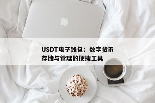 装usdt的电子钱包,安全存储与便捷交易