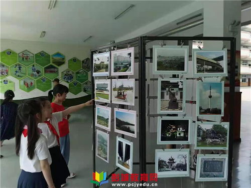 黄山比特币,黄山比特币交易现状与展望