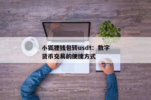 usdt转入小狐狸钱包,USDT转入小狐狸钱包的详细步骤指南