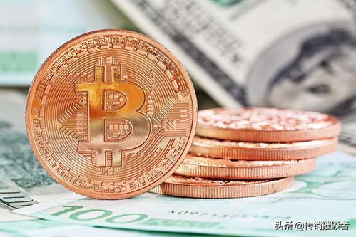 比特币800,市场动态与未来展望