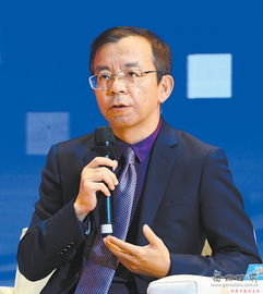 比特币王鸣,揭秘加密货币的崛起与未来