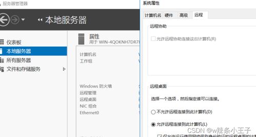 windows操作系统的基础知识,Windows操作系统基础知识详解