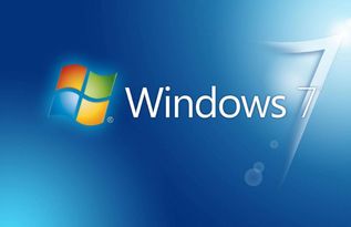 windows电脑系统软件有哪些,必备工具与实用应用