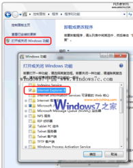 windows98系统ie无法使用,Windows 98系统IE浏览器无法使用的原因及解决方法