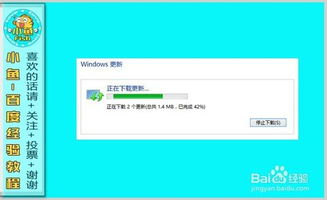 windows激活系统退货,轻松应对预装系统激活问题