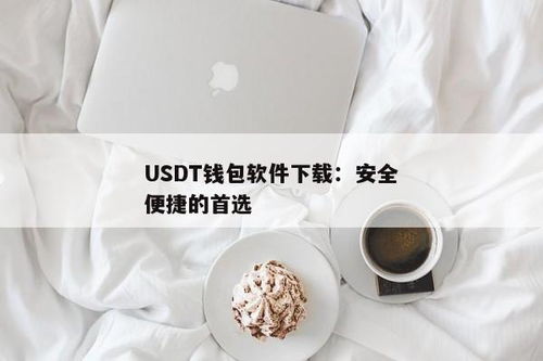 usdt钱包用什么软件,什么是USDT钱包？