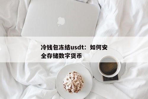 冷钱包怎么存usdt,什么是USDT？