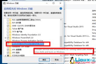 windows操作系统安装测试环境,Windows操作系统安装测试环境全攻略