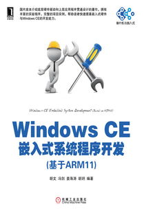 windows程序改嵌入式系统,Windows程序迁移至嵌入式系统的实践与技巧