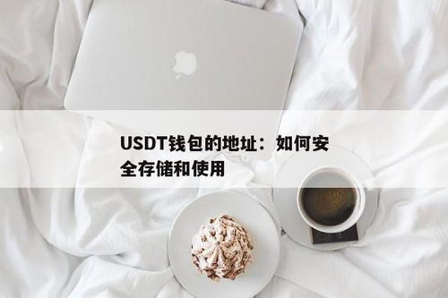 usdt币钱包怎么使用,什么是USDT币钱包？