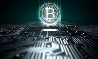 洛阳比特币,洛阳比特币市场的发展现状与未来展望