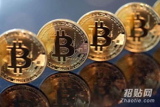 比特币招代理,寻找比特币代理合作伙伴，共创财富未来