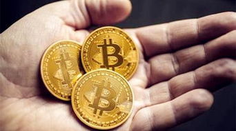 比特币在哪年,探寻加密货币的起源与发展